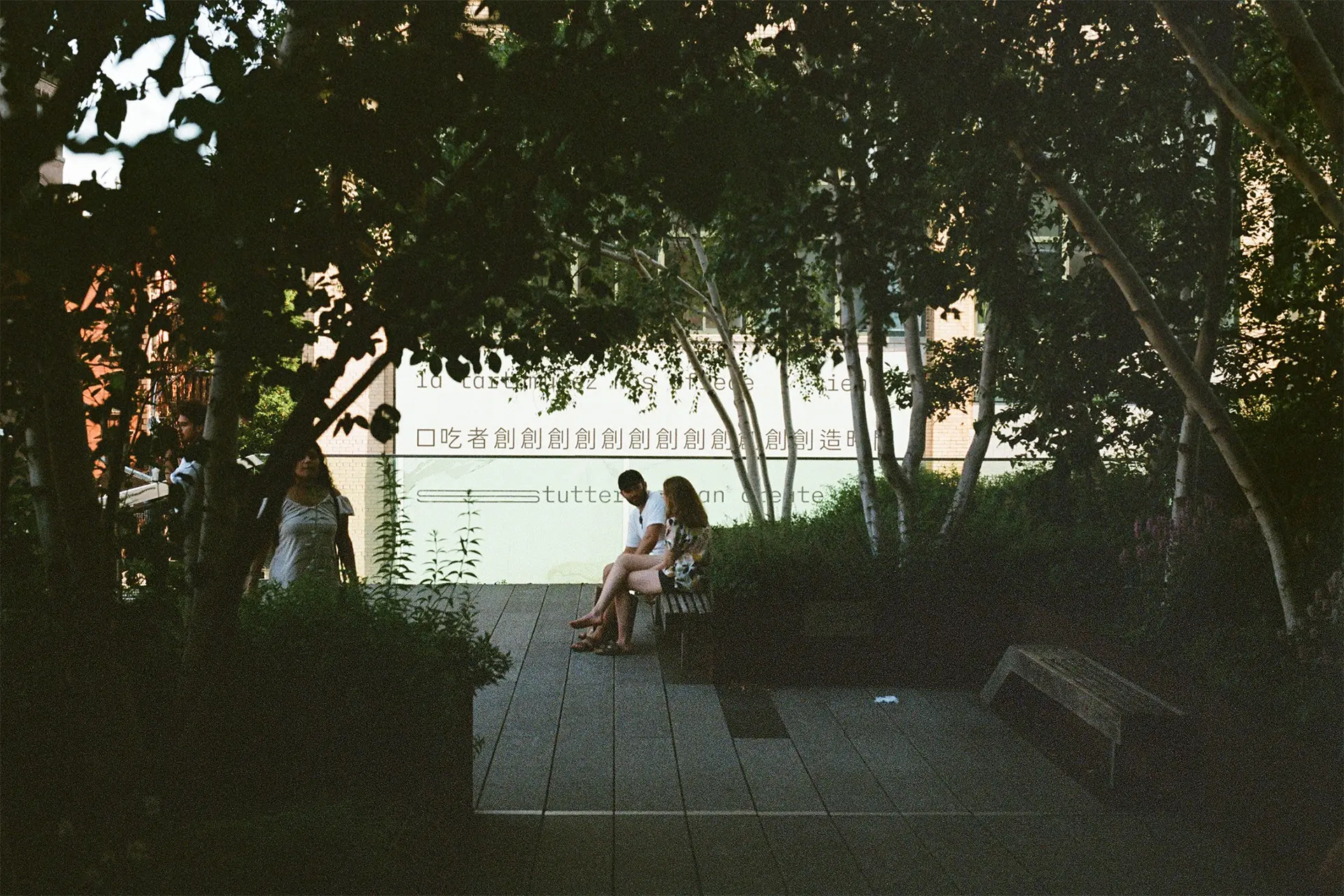 A film photograph of the billboard, taken from atop the High Line. Trees obscure the billboard, and two people are sat on a bench nearby. 